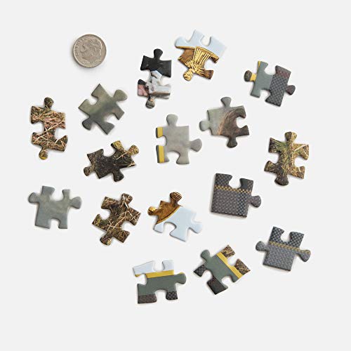 Clarkson Potter Outlander Puzzle: Officially Licensed 1000-Piece Jigsaw Puzzle: Jigsaw Puzzles for Adults