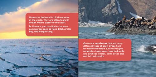 All about Orcas: English Edition (Nunavummi Reading Series)