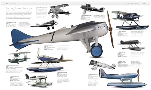 Aircraft: The Definitive Visual History (DK Definitive Transport Guides)
