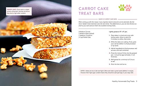Healthy Homemade Dog Treats: More than 70 Simple & Delicious Treats for Your Furry Best Friend