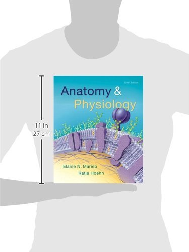Anatomy & Physiology (6th Edition)