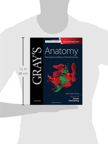 Gray's Anatomy: The Anatomical Basis of Clinical Practice