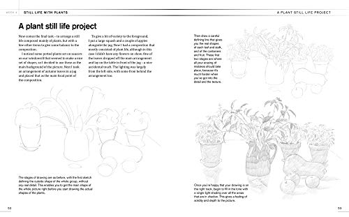 6-Week Drawing Course