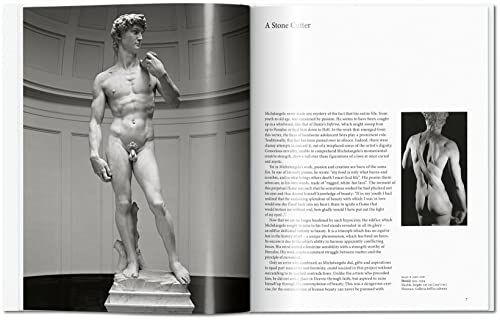Michelangelo: 1475-1564: Universal Genius of the Renaissance — back cover
