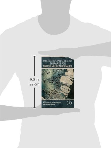 Molecular and Cellular Therapies for Motor Neuron Diseases