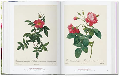 Redouté. Book of Flowers - 40 Years
