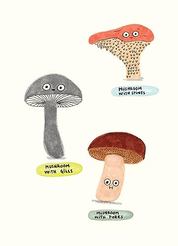 The Mushroom Fan Club — back cover