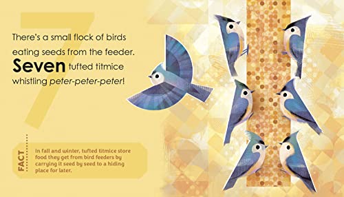 Birding for Babies: Backyard Birds: A Numbers Book