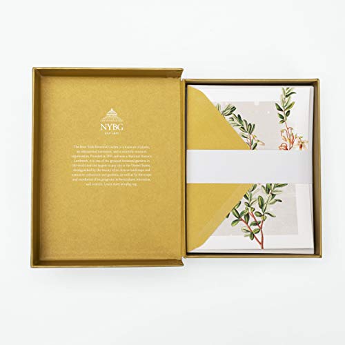 Winter Botanicals: Note Cards and Envelopes: Set of 12 (New York Botanical Garden)