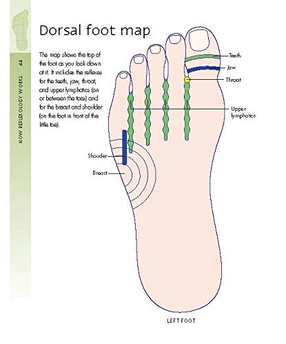 The Reflexology Bible: The Definitive Guide to Pressure Point Healing (Volume 15) (Mind Body Spirit Bibles)