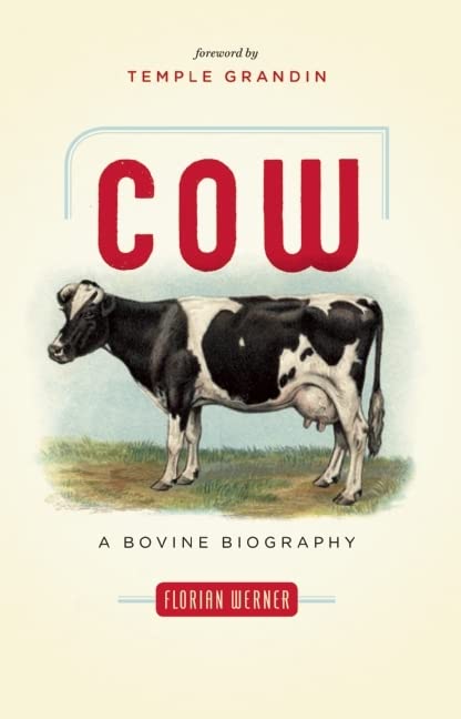 Cow: A Bovine Biography by Werner, Florian