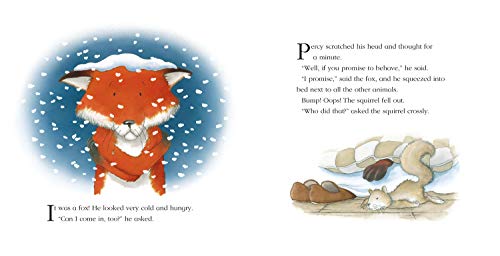 One Snowy Night (Percy the Park Keeper)