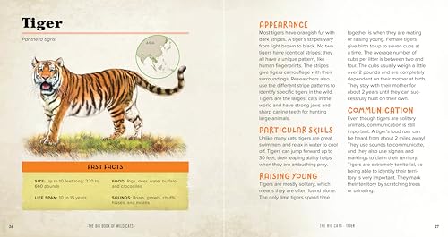 The Big Book of Wild Cats: Fun Animal Facts for Kids