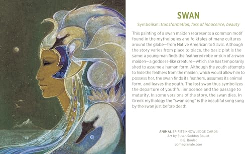 Animal Spirits Knowledge Cards: Paintings by Susan Seddon B