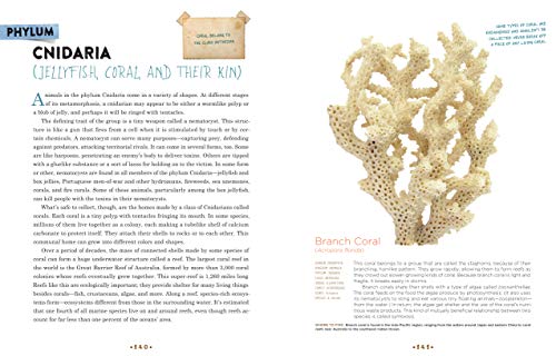 Cabinet of Curiosities: Collecting and Understanding the Won