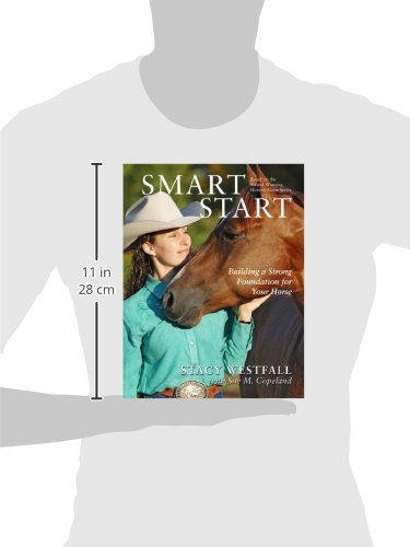 Smart Start: Building a Strong Foundation for Your Horse
