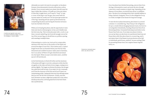 The Noma Guide to Fermentation: Including koji, kombuchas, s