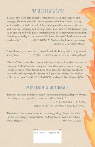 The Old Fire: A Novel