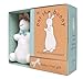 Pat the Bunny Book & Plush (Touch-and-Feel)