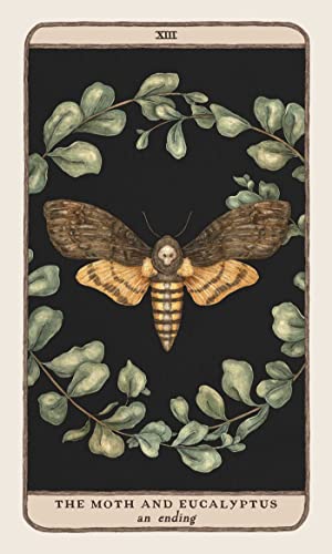 Woodland Wardens: 52-Card Oracle Deck & Guidebook