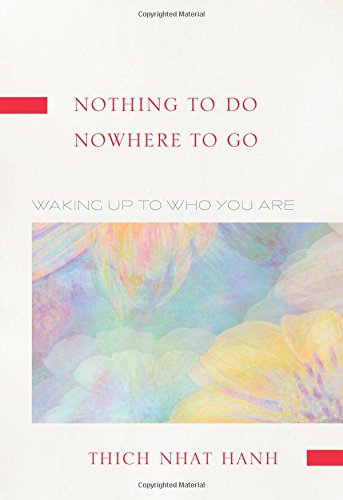 Nothing To Do, Nowhere To Go: Waking Up To Who You Are by Ha