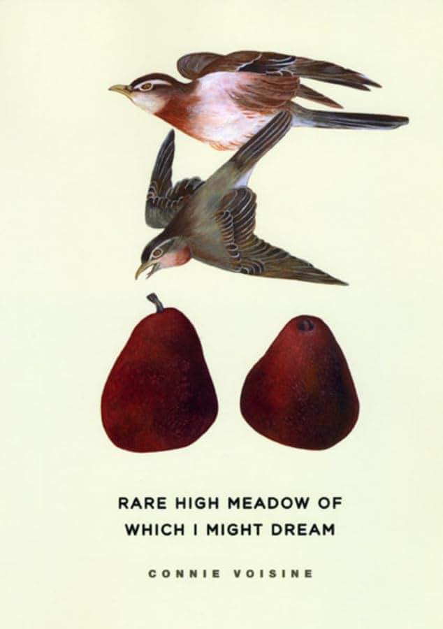 Rare High Meadow of Which I Might Dream (Phoenix Poets)