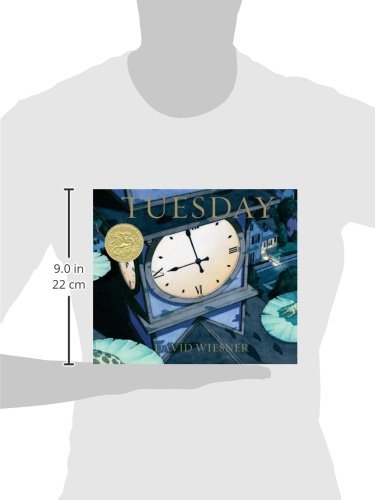 Tuesday (Caldecott Medal Book) by David Wiesner