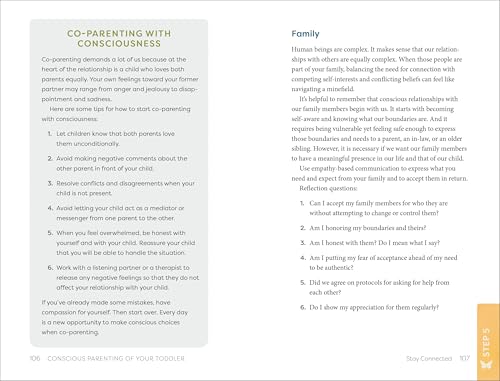 Conscious Parenting of Your Toddler: Strategies To Turn Discipline into Growth and Connection