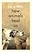 How Animals Heal Us