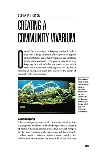 Green Anoles: From the Experts at Advanced Vivarium Systems (CompanionHouse Books)
