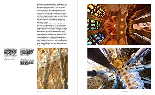 The Art of Looking Up