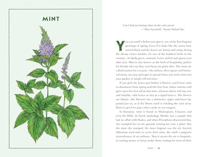 Bite by Bite: Nourishments and Jamborees