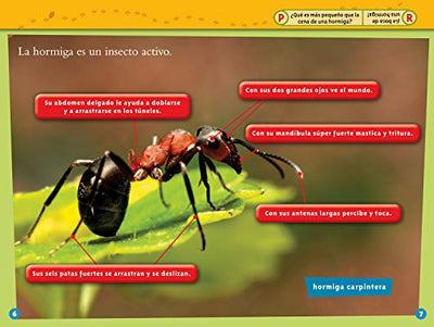 National Geographic Readers: Las Hormigas (L1) (Spanish Edition)