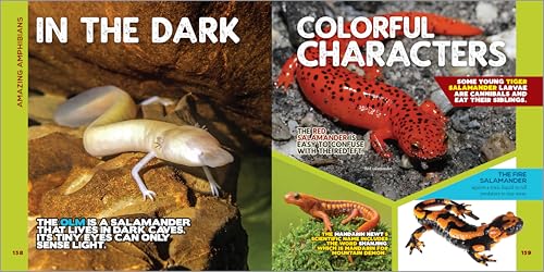 The Fascinating Animal Book for Kids: 500 Wild Facts! (Fasci