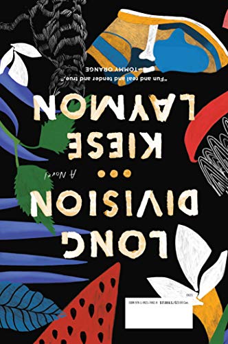 Long Division: A Novel