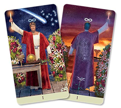 Vice Versa Tarot Kit (Vice Versa Tarot, 1)