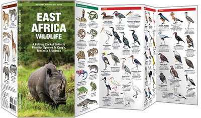 East Africa Wildlife: A Folding Pocket Guide to Familiar Species in Kenya, Tanzania & Uganda (Nature Observation International)