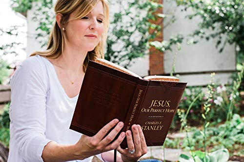 Jesus, Our Perfect Hope: 365 Devotions (Devotionals from Charles F. Stanley)