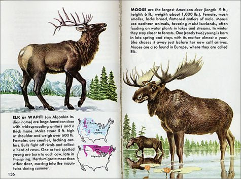Mammals: A Fully Illustrated, Authoritative and Easy-to-Use Guide (A Golden Guide from St. Martin's Press)