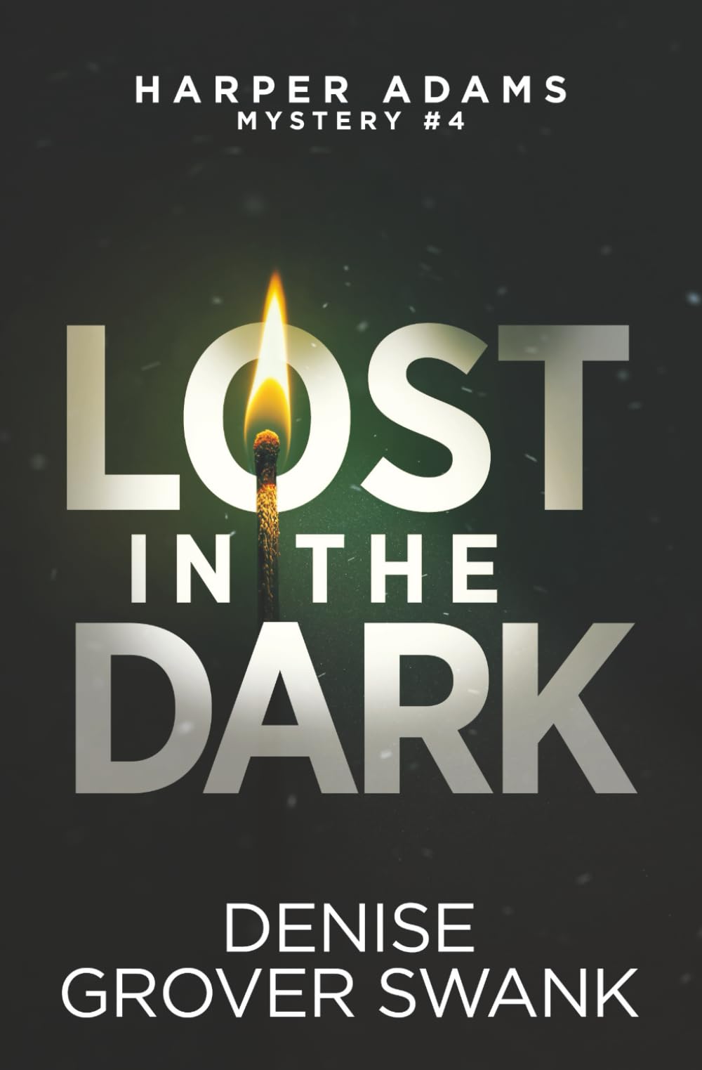 Lost in the Dark (Harper Adams Mystery)