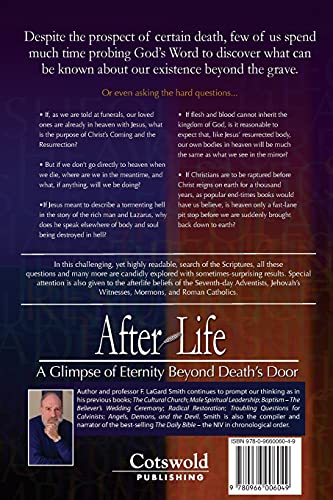 After Life: A Glimpse of Eternity Beyond Death's Door