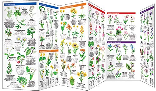Virginia Trees & Wildflowers: A Folding Pocket Guide to Familiar Plants (Wildlife and Nature Identification)