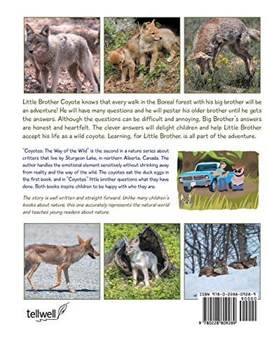 Coyotes: The Way of the Wild (Animals of Sturgeon Lake)