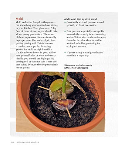 Regrow Your Veggies: Growing Vegetables from Roots, Cuttings, and Scraps (CompanionHouse Books) Sustainable Tips, Troubleshooting, & Directions for Lettuce, Potatoes, Ginger, Scallions, Mango, & More