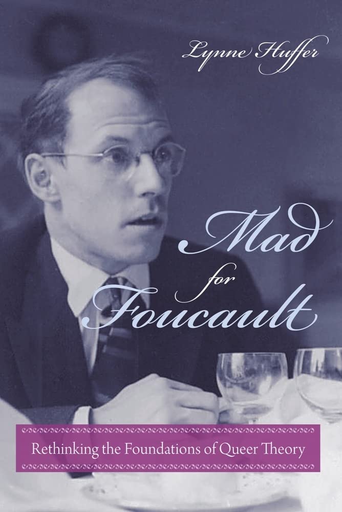 Mad for Foucault: Rethinking the Foundations of Queer Theory (Gender and Culture Series)