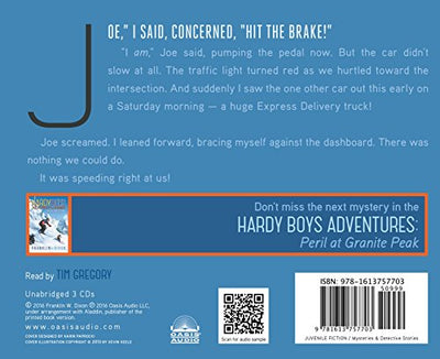 Into Thin Air (Volume 4) (Hardy Boys Adventures)