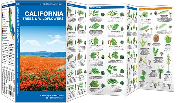 California Trees & Wildflowers: A Folding Pocket Guide to Familiar Plants (Wildlife and Nature Identification) — back cover