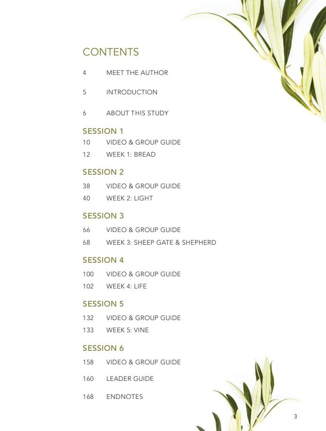 Finding I AM - Bible Study for Women with Video Access: How Jesus Fully Satisfies the Cry of Your Heart