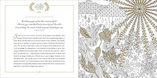 Picturing Heaven: 40 Hope-Filled Devotions with Coloring Pages