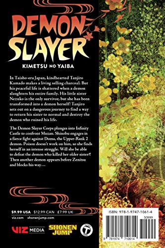 Demon Slayer: Kimetsu no Yaiba, Vol. 17: Successors